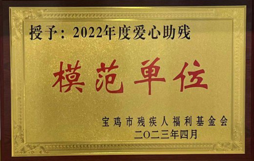 喜 訊 —— 寶雞市國有資產經營有限責任公司榮獲“寶雞市2022年度愛心助殘模范單位”